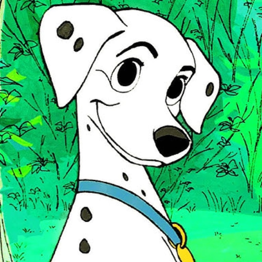 Meet your Posher, Lacy